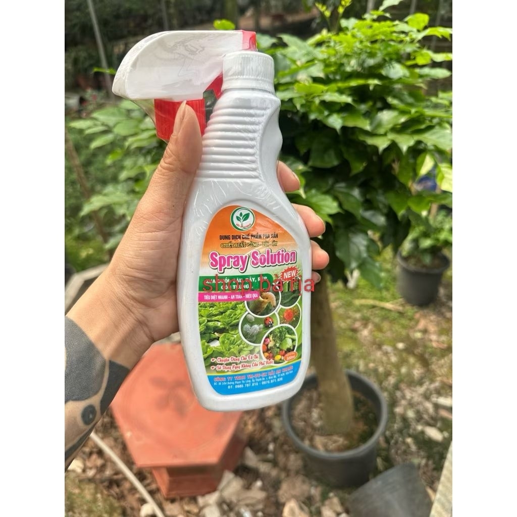 Chai Dung Dịch Chế phẩm Sinh Học SPray Solution Pha Sẵn Chiết Xuất Gừng Tỏi, Ớt