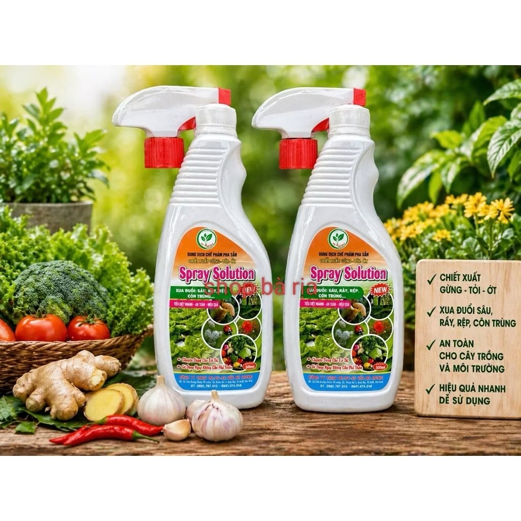 Chai Dung Dịch Chế phẩm Sinh Học SPray Solution Pha Sẵn Chiết Xuất Gừng Tỏi, Ớt
