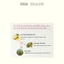 Sữa Rửa Mặt Dạng Bột Ngừa Mụn Daily Exfoliant 5g Mini tiết kiệm Enzyme Tự Nhiên Sạch Sâu Dịu Nhẹ