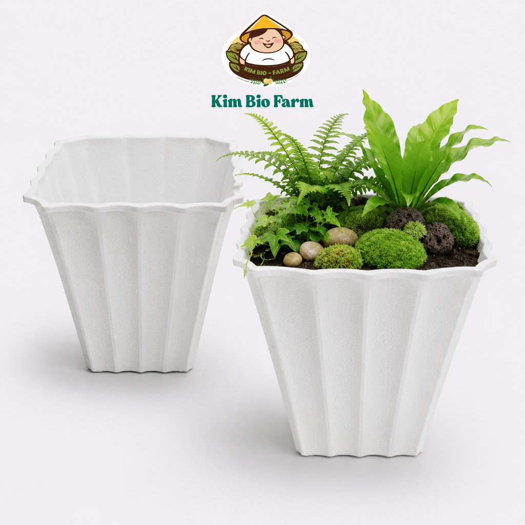 Chậu khía vuông 2 tấc  – Chậu cây nhỏ gọn, form vuông chắc chắn, dễ trồng cây