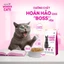 HẠT WONDER CATS - Thức ăn hạt cho mèo mọi lứa tuổi dinh dưỡng hơn