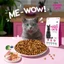 HẠT WONDER CATS - Thức ăn hạt cho mèo mọi lứa tuổi dinh dưỡng hơn