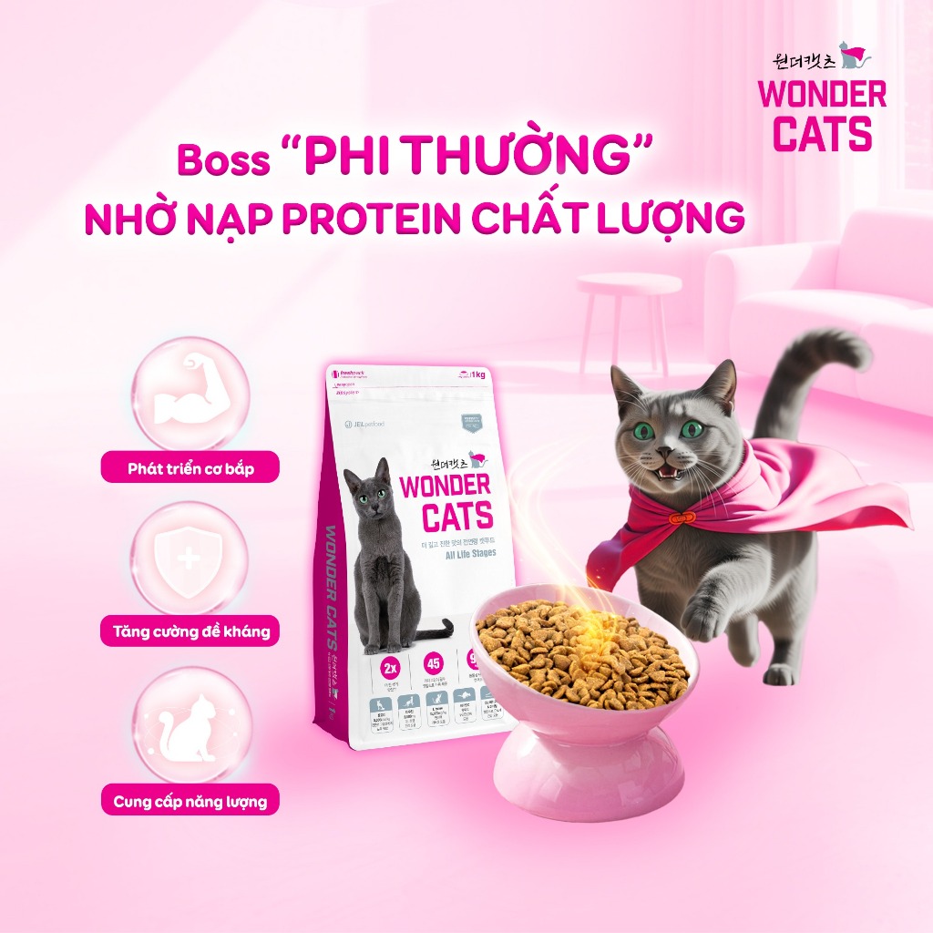 Thức ăn hạt Wonder Cat Cho Mèo Mọi Lứa Tuổi nhập khẩu Hàn Quốc X2 dinh dưỡng