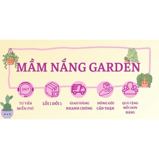Dụng cụ 3 món trồng sen đá cơ bản cho người mới chơi Mầm Nắng Garden lỗi 1 đền 1