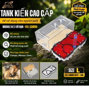 TANK KIẾN MỞ RỘNG VÔ HẠN - COMBO MODULE size L - TANK KIẾN ANT SPACE