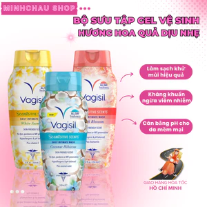 Bộ Sưu Tập Dung Dịch Vệ Sinh Phụ Nữ Vagisil Hương Hoa Quả, Kiểm Soát Mùi 24h, Cân Bằng pH