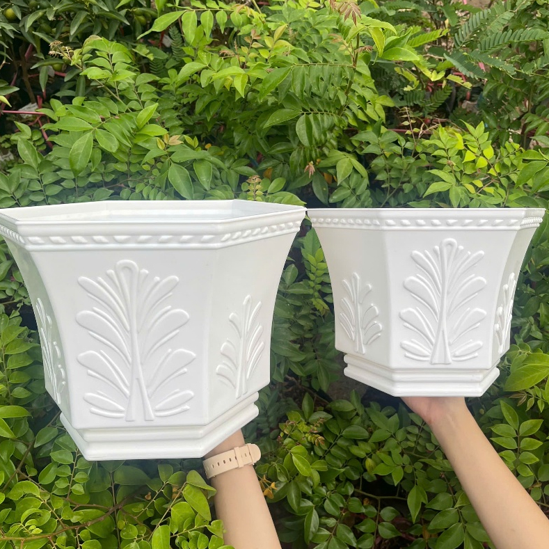 Chậu cỏ may nhựa trắng cao cấp - Chậu trồng cây vuông đẹp, thoát nước tốt – Kimbio Farm