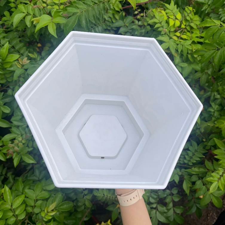 Chậu cỏ may nhựa trắng cao cấp - Chậu trồng cây vuông đẹp, thoát nước tốt – Kimbio Farm