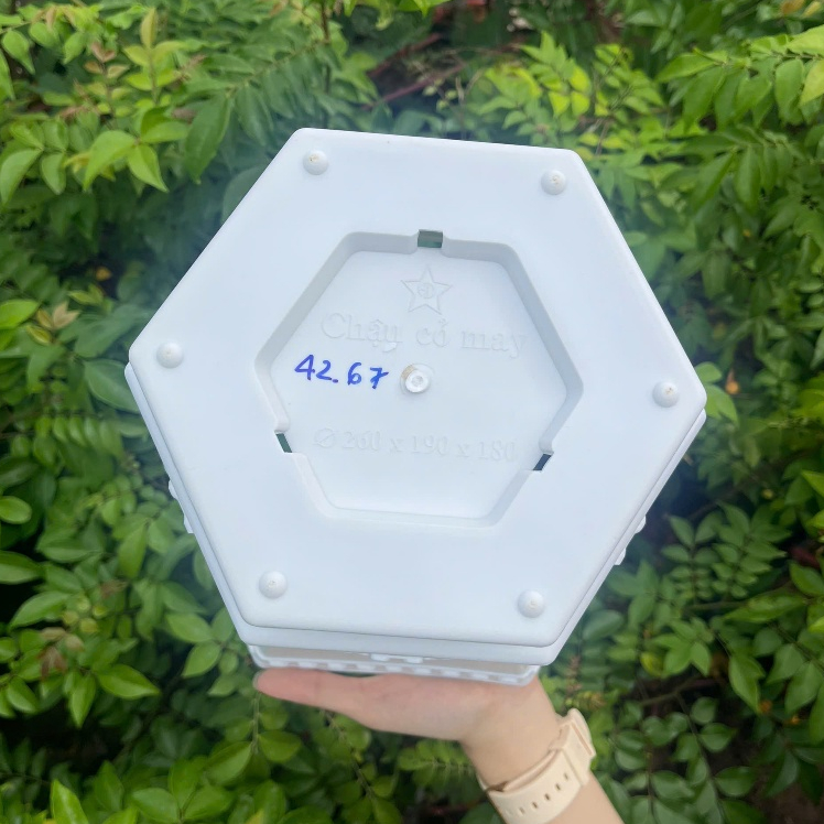 Chậu cỏ may nhựa trắng cao cấp - Chậu trồng cây vuông đẹp, thoát nước tốt – Kimbio Farm
