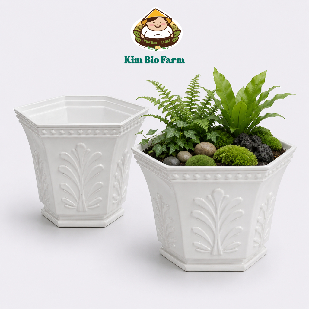Chậu cỏ may nhựa trắng cao cấp - Chậu trồng cây vuông đẹp, thoát nước tốt – Kimbio Farm