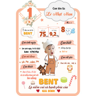 BẢNG THÔNG TIN/ BẢNG ẢNH  12 THÁNG  CHO BÉ TRAI BÉ GÁI TRANG TRÍ SINH NHẬT (Thiết kế riêng) YẾN NHI SHOP