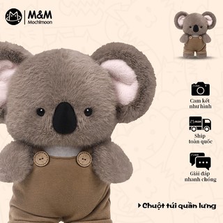 Gấu Koala mặc quần yếm – giao từ kho Hà Nội