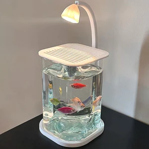 Bể Cá Mini Trong Suốt, Bể Cá Cảnh Sinh Thái Sáng Tạo