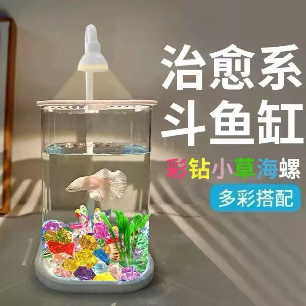 Bể Cá Mini Trong Suốt, Bể Cá Cảnh Sinh Thái Sáng Tạo