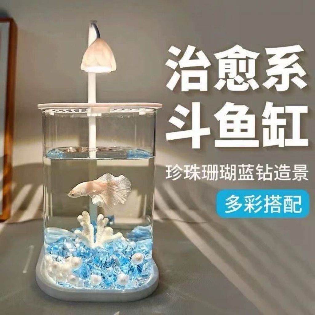 Bể Cá Mini Trong Suốt, Bể Cá Cảnh Sinh Thái Sáng Tạo