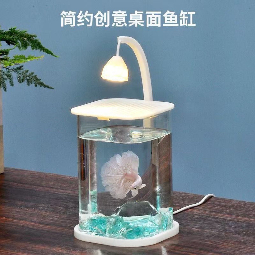 Bể Cá Mini Trong Suốt, Bể Cá Cảnh Sinh Thái Sáng Tạo