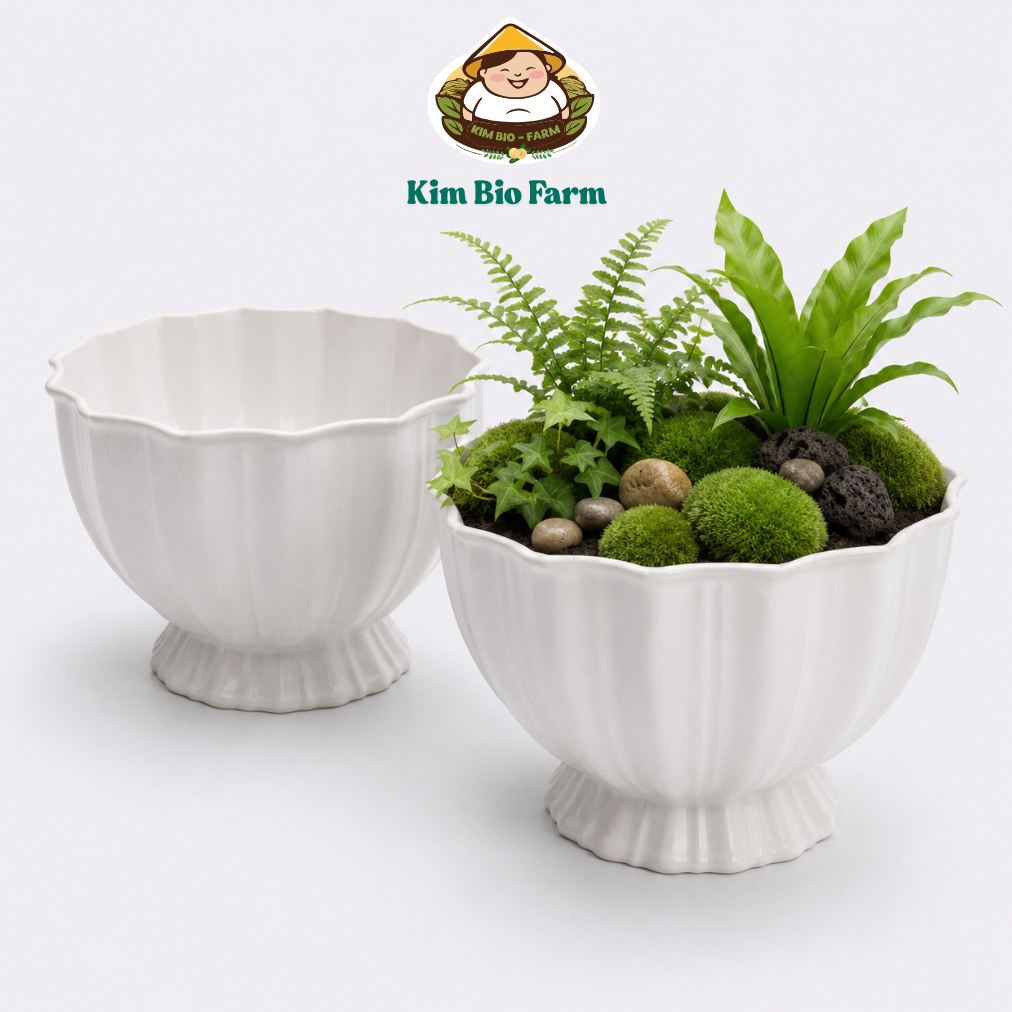Chậu cây lồng Đèn Nhựa Dày Cao Cấp 23–33cm Trồng Cây Cảnh Cây Ăn Trái Trang Trí Sân Vườn Ban Công