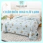 Chăn thun hè mát lạnh Naya House chăn điều hòa hình họa tiết Cute thoáng khí êm nhẹ 2mx2m3 CH05