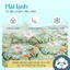 Chăn thun hè mát lạnh Naya House chăn điều hòa hình họa tiết Cute thoáng khí êm nhẹ 2mx2m3 CH05
