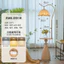 Đèn trang trí, decor phòng khách, phòng ngủ cực sang