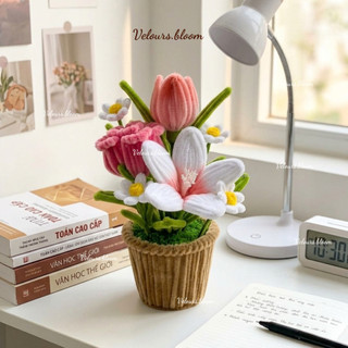 Chậu Hoa Kẽm Nhung Handmade Mixtape Floral - Decor Bàn Học Xinh Xắn