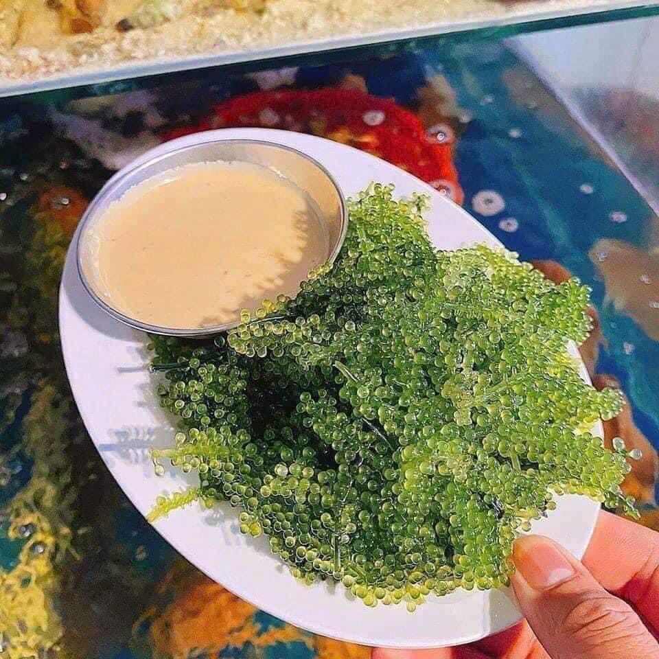 Rong nho tách nước 1kg Khánh Hòa