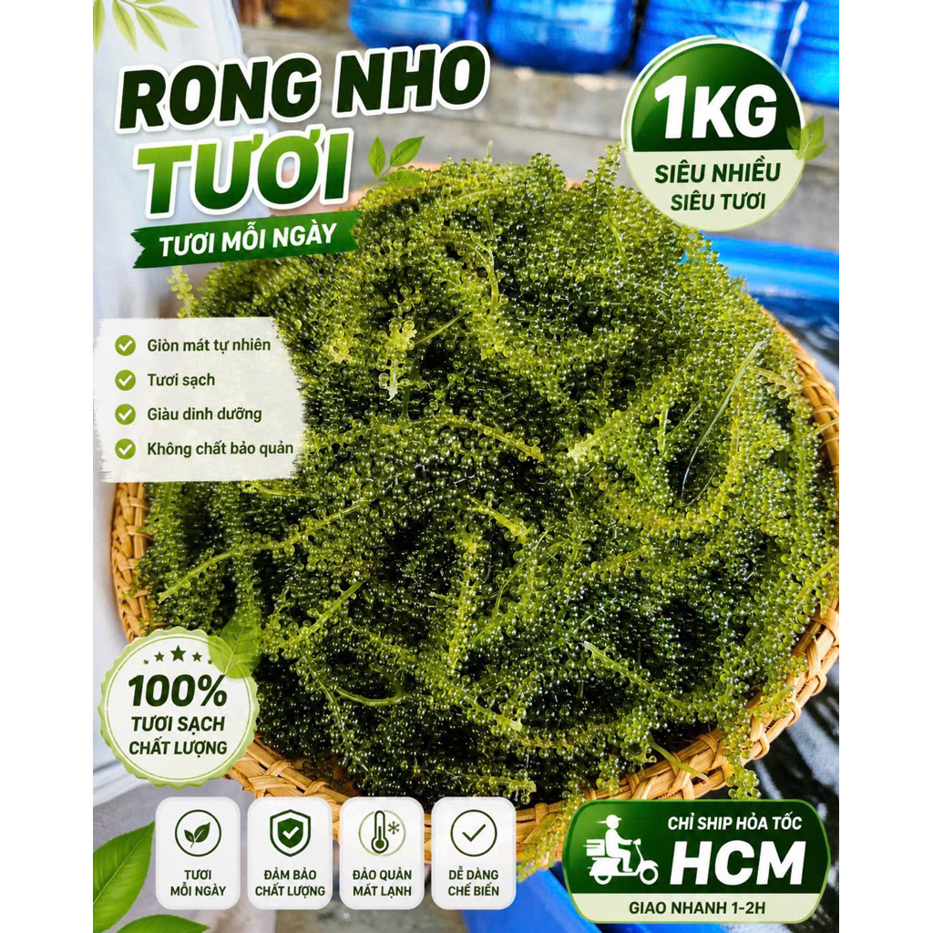 Rong nho tươi 500g Khánh Hoà - Chỉ ship hoả tốc HCM