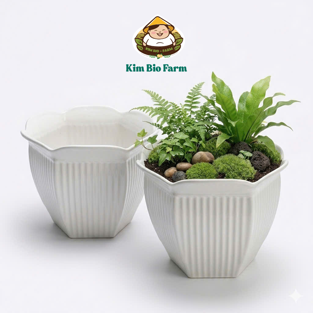 Chậu Cây Lục Giác Sọc Nhựa Dày Cao Cấp Kimbiofarm – Chậu Trồng Cây Trang Trí Bền Đẹp, Thoát Nước Tốt