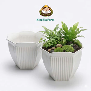 Chậu Cây Lục Giác Sọc Nhựa Dày Cao Cấp Kimbiofarm – Chậu Trồng Cây Trang Trí Bền Đẹp, Thoát Nước Tốt