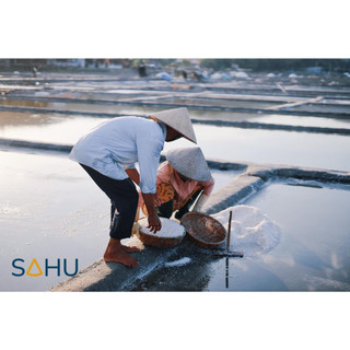 Muối hột Sahu từ muối biển thô ở ruộng muối truyền thống của Quảng Ngãi