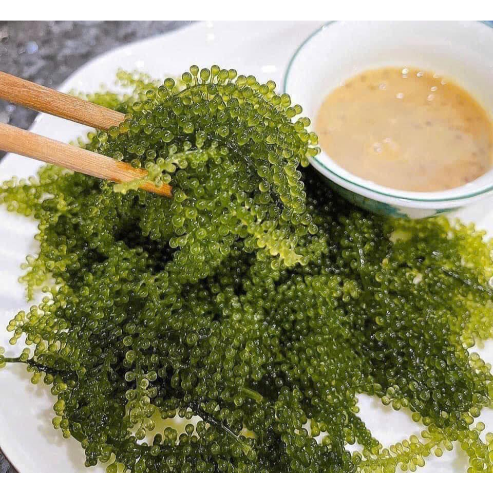 Rong nho tách nước 1kg Khánh Hòa