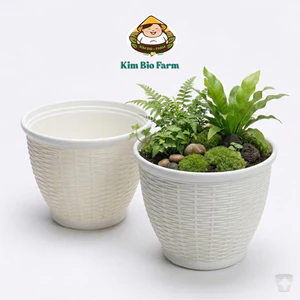 Chậu cây mây đan vành – Chậu trồng cây nhỏ gọn, thoát nước tốt, phù hợp nhiều loại cây