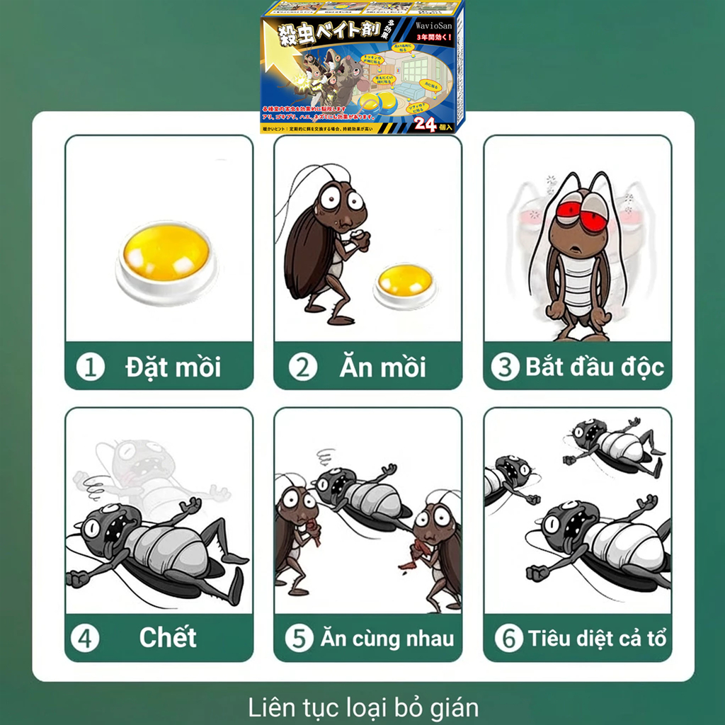 🪳1 viên diệt sạch🪳1 hộp 24 viên Bả diệt gián Diệt gián Thuốc diệt gián  Phá hủy toàn bộ ổ gián Nhập khẩu từ Nhật Bản