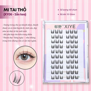 Mi giả sẵn keo HỘP LỚN siêu tiết kiệm, sợi mi mỏng nhẹ không cộm mắt