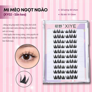 Mi giả sẵn keo HỘP LỚN siêu tiết kiệm, sợi mi mỏng nhẹ không cộm mắt
