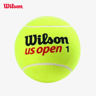 Wilson Us Open 9" Jumbo Tennis Ball Bóng Tennis Cỡ Lớn 9 Inches WRX2096UW / WRX2096PKXB