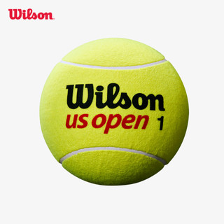 Wilson Us Open 9" Jumbo Tennis Ball Bóng Tennis Cỡ Lớn 9 Inches WRX2096UW / WRX2096PKXB