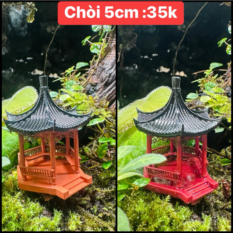 Mô hình chòi nâu tiểu cảnh,terrarium,bán cạn