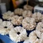 Dây buộc tóc Scrunchies ren 4 tầng 12 & 15cm Rose handmade store