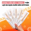 Bộ muỗng đũa tăm giấy 4 trong 1 chất lượng cao cấp tiện dụng