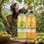 500Ml Giấm Táo Mèo Nguyên Chất Tây Bắc Hữu Cơ Giảm Cân An Toàn Hiệu Quả Nhất Cấp Tốc