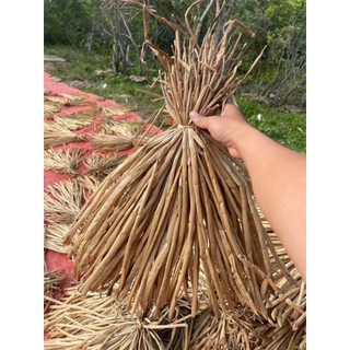 1kg Lục Bình Khô Tự Nhiên