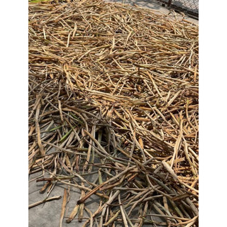 1kg Lục Bình Khô Tự Nhiên