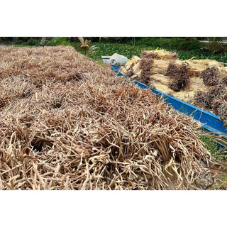 1kg Lục Bình Khô Tự Nhiên