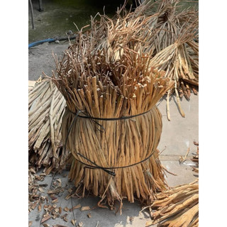 1kg Lục Bình Khô Tự Nhiên
