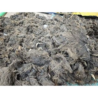 1kg RỄ LỤC BÌNH(Bèo Tây) Phơi Khô