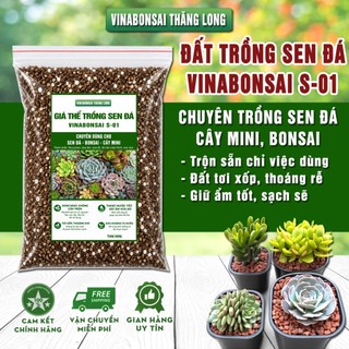 Đất trồng SEN ĐÁ, xương rồng, giá thể Vinabonsai S-01 siêu thoát nước, chống úng, giàu dinh dưỡng