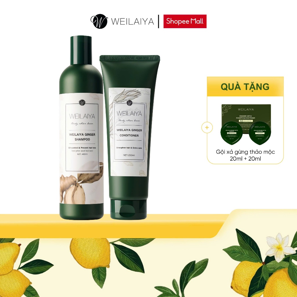 Cặp dầu gội đầu và dầu xả tóc thảo dược Weilaiya gừng trắng giúp giảm rụng và hỗ trợ mọc tóc cho da đầu dầu bết