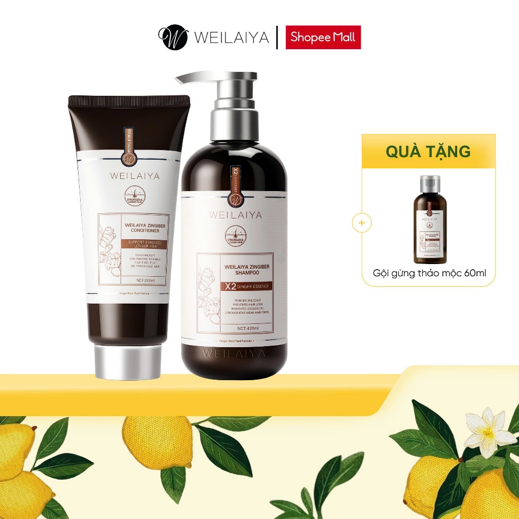 Cặp dầu gội xả tóc thảo dược Weilaiya gừng giúp tóc khoẻ đẹp gấp đôi hiệu quả cho da khô, da thường
