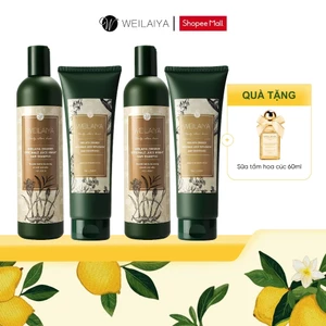 Combo 2 Cặp dầu gội đầu và dầu xả tóc thảo dược Weilaiya gừng hà thủ ô giúp dưỡng, đen và kích thích mọc tóc